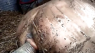 dirty sex