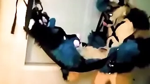 Furry plighted added to fucked