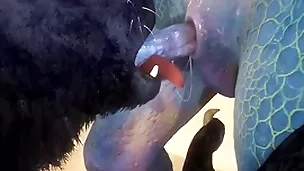 Wolf and lizard have sex on the beach - wildlife
