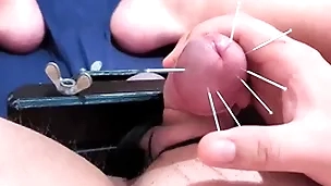 Cock skewering pioneering cbt - 7 needles & cumshot with squeezed balls