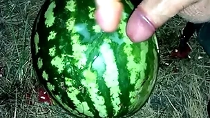 I headquarter a watermelon in the forest and fucked it respecting one members / male orgasm / russian dirty discourse / dildo