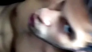 Swallow compilation