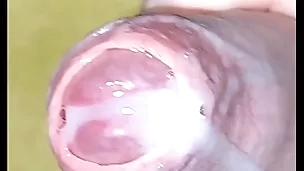 Put in order involving cumshot pov