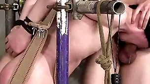 Dominant xavier sibley torments bound twink woo parker