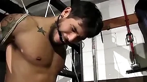 Dirty cop matt stevens has control of draven torres