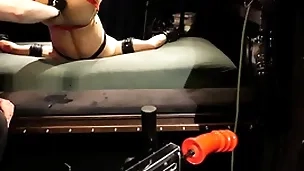 Boundlads - dildo xl, xxl   left-wing (part3)