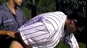 Brazil meaningless #5 (ironhorse)