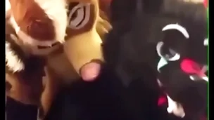 Fursuiters fianc? in Babytalk do number two while bottom moans loudly