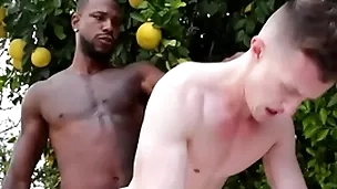 Effectively bbc penetrates gay asshole - reign , grant ducati